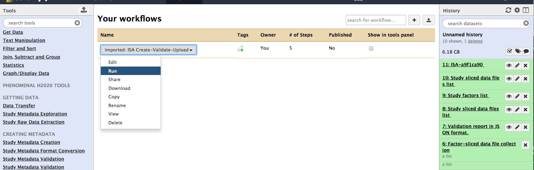 Galaxy Import ISA Workflow