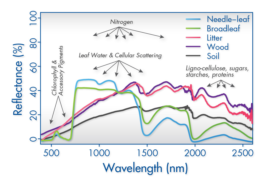 Leaf Spectral Signatures